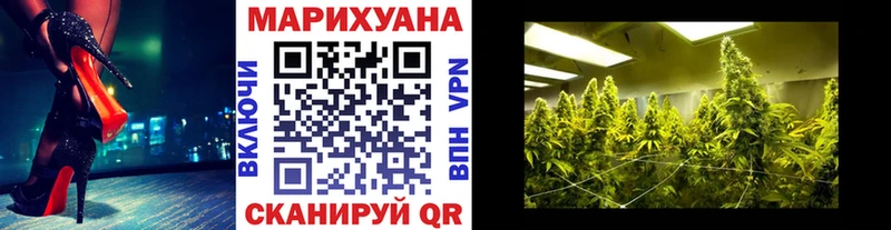 что такое   Болгар  Конопля SATIVA & INDICA 